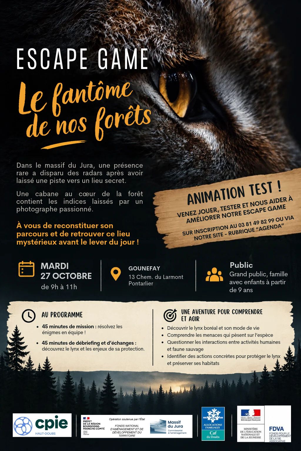 Affiche test EG Lynx